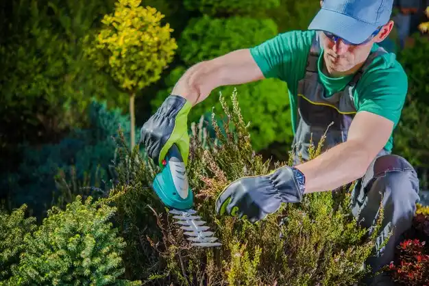 landscaping services Corfu